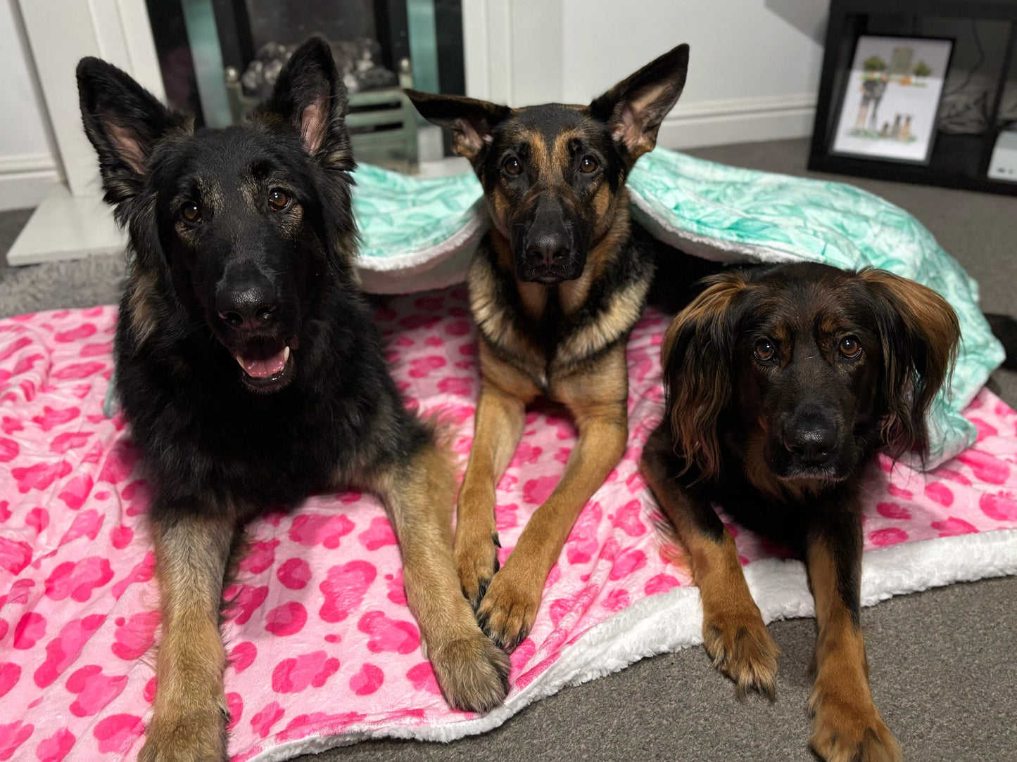 Willow Wanders Blanket