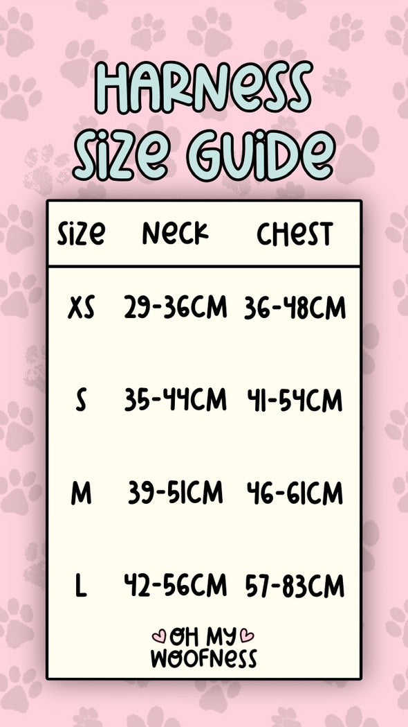 Willow Wanders Harness