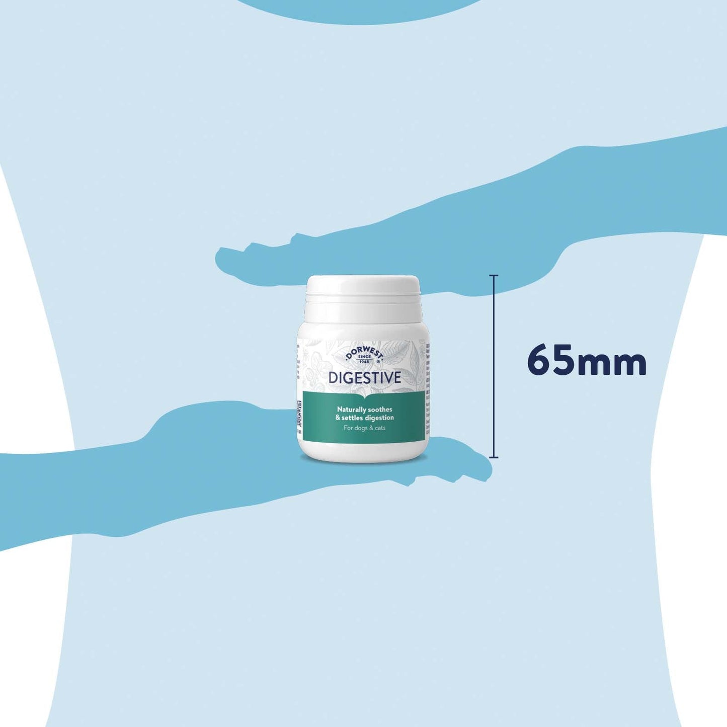 Dorwest Digestive Tablets For Dogs And Cats