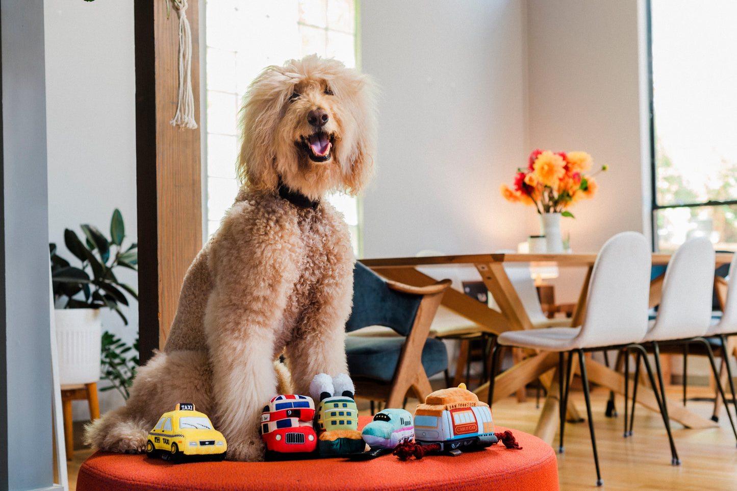 Canine Commute San Pup cisco Cable Car dog toy