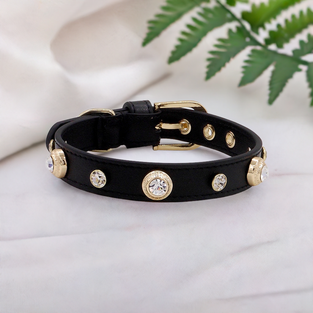 diamond pet collar