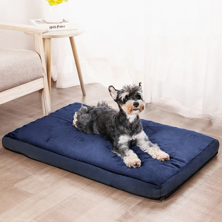 dog laying on a mattress