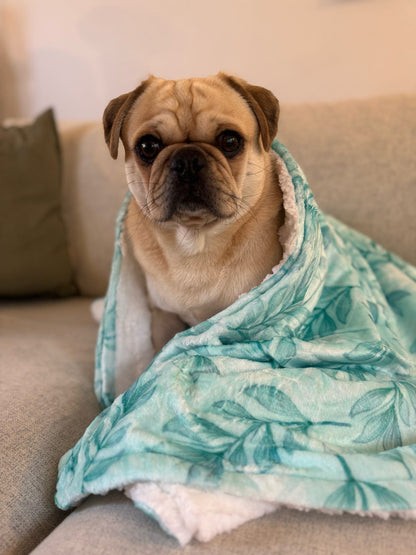 Willow Wanders Blanket