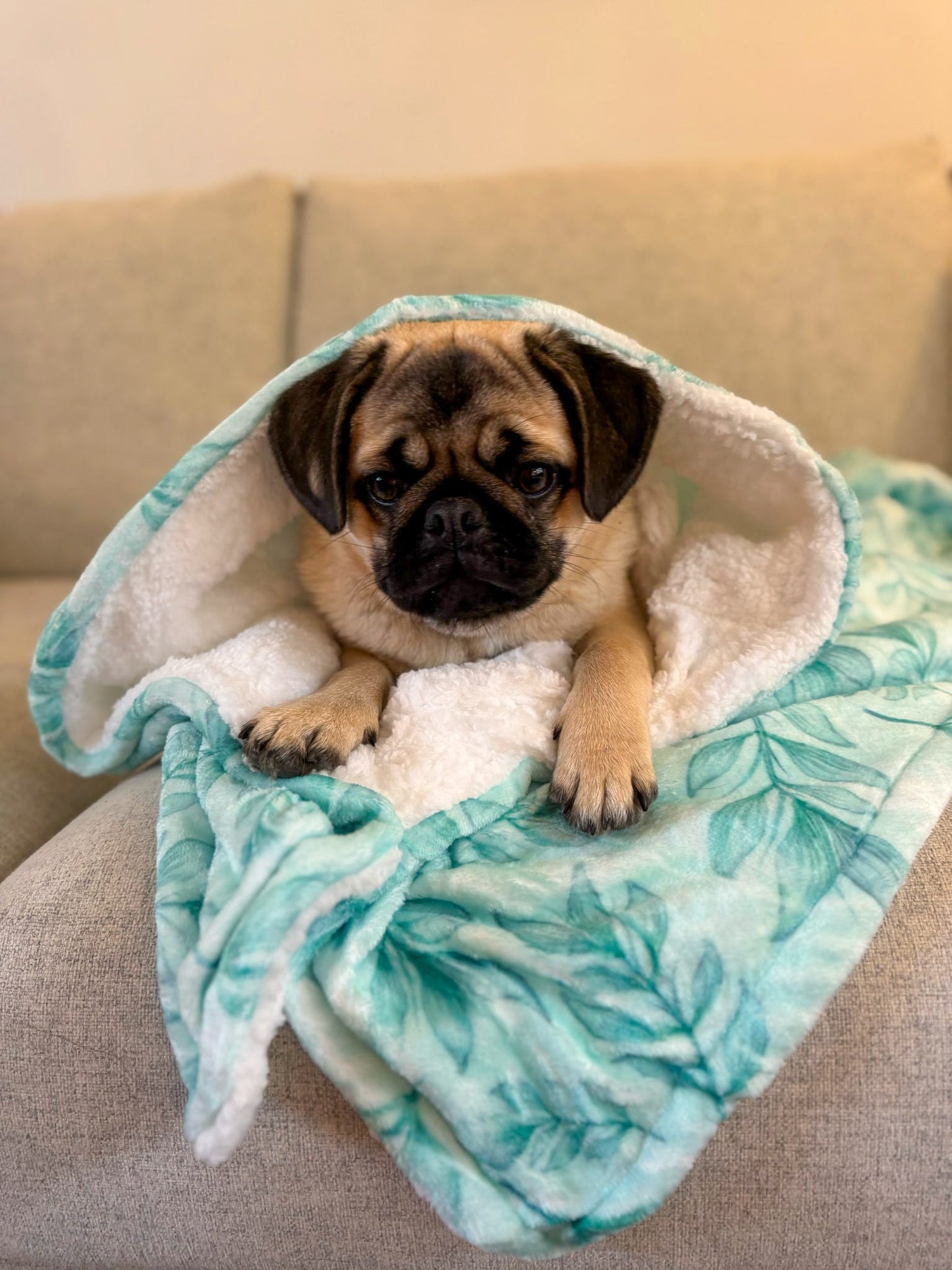 Willow Wanders Blanket