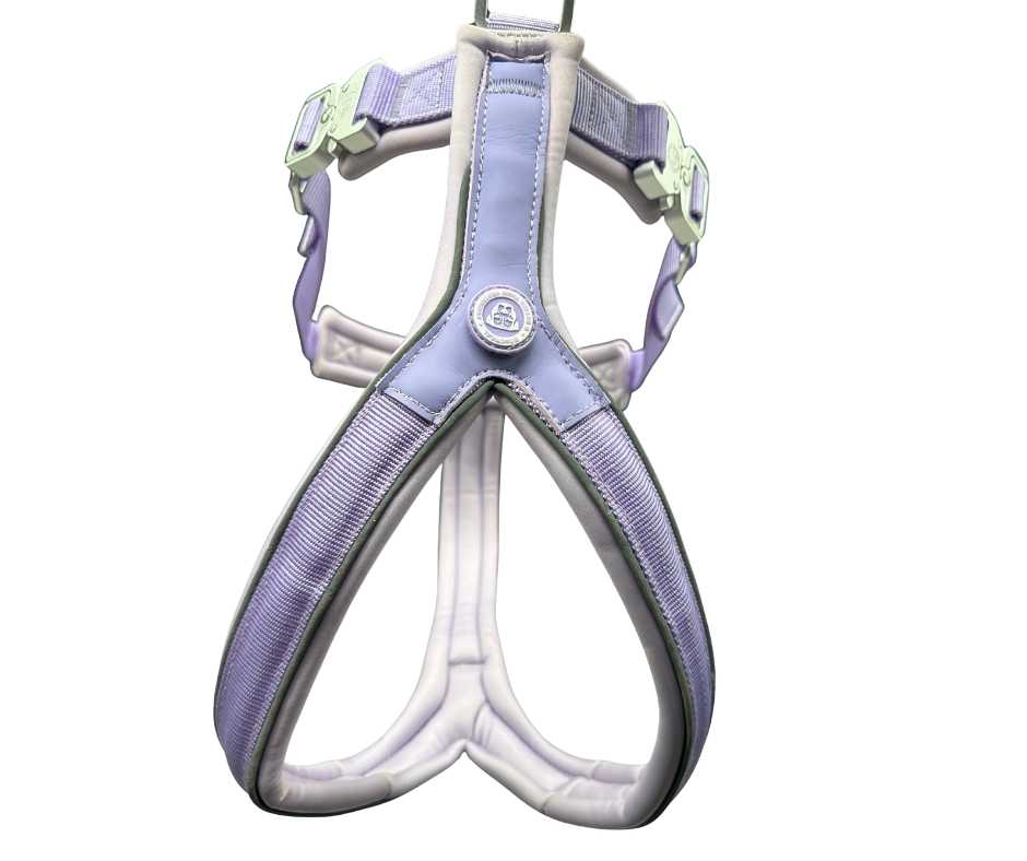 The 2.5cm BTactical™ Slip on Harnesses