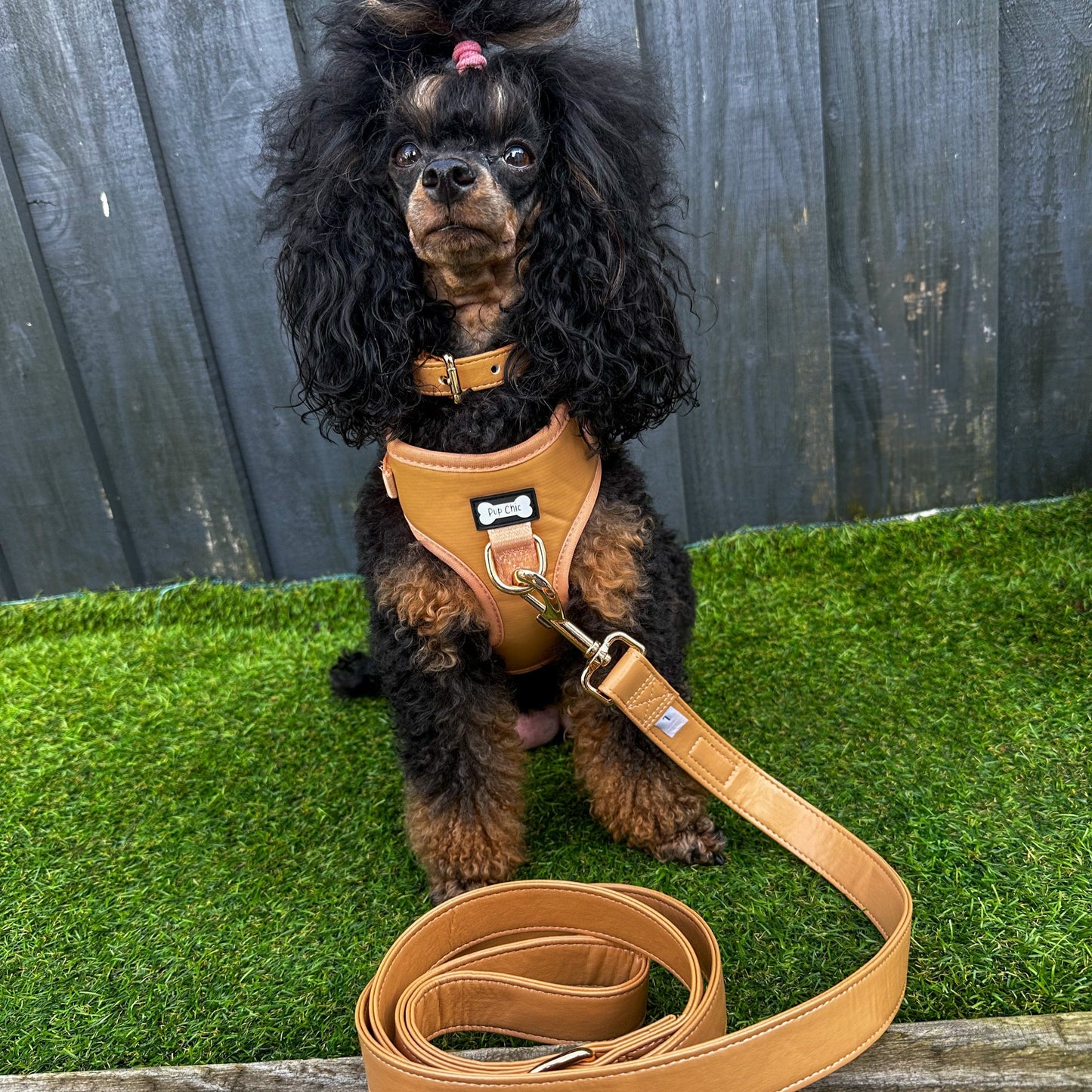 Alfresco Pup faux leather dog harness - camel colour adjustable dog harness