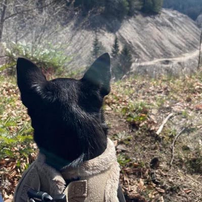 Tiny Trails Step In Soft Touch Suede Effect Faux Fur Lined Puppy and Small Dog Harness Caramel