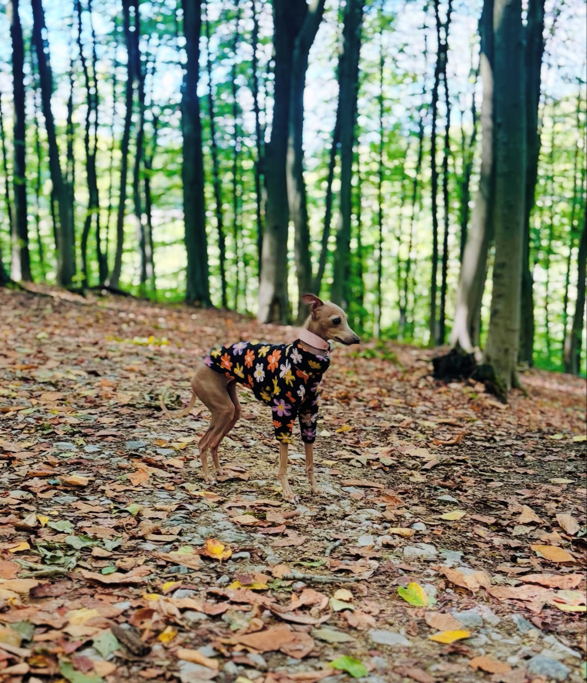 Fleece Lined Sweatshirt Jumper - Flower Power