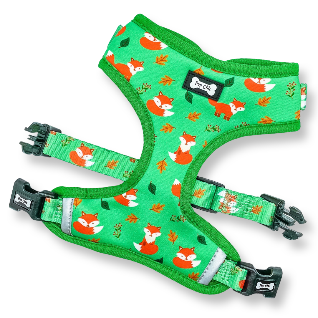 Inquisitive Fox XXS Puppy Harness – Lightweight, Adjustable & Adorably Foxy 🦊