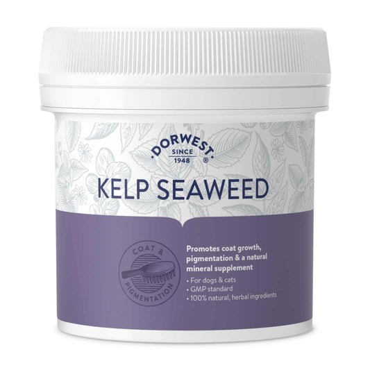 Dorwest Kelp Seaweed Powder For Dogs And Cats 250G