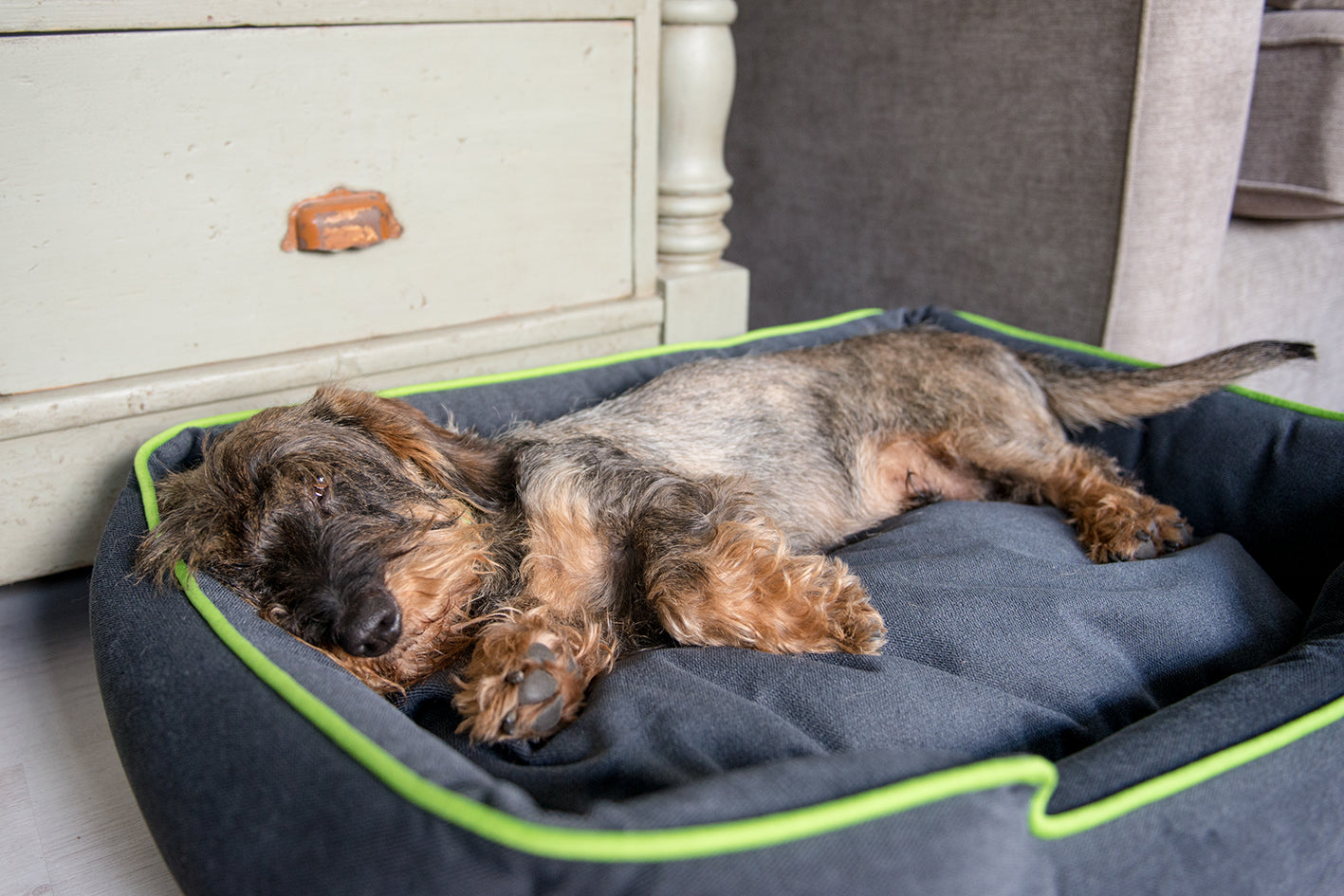 Urban Plush Lounge Bed