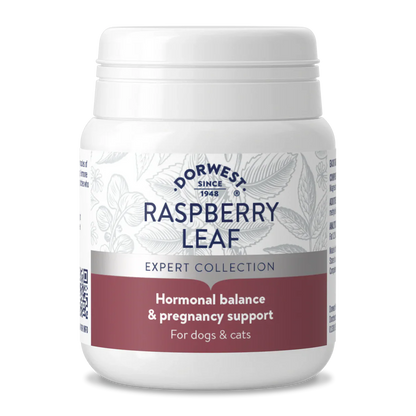 Dorwest Raspberry Leaf Tablets for Dogs & Cats – Hormonal Balance & Whelping Support