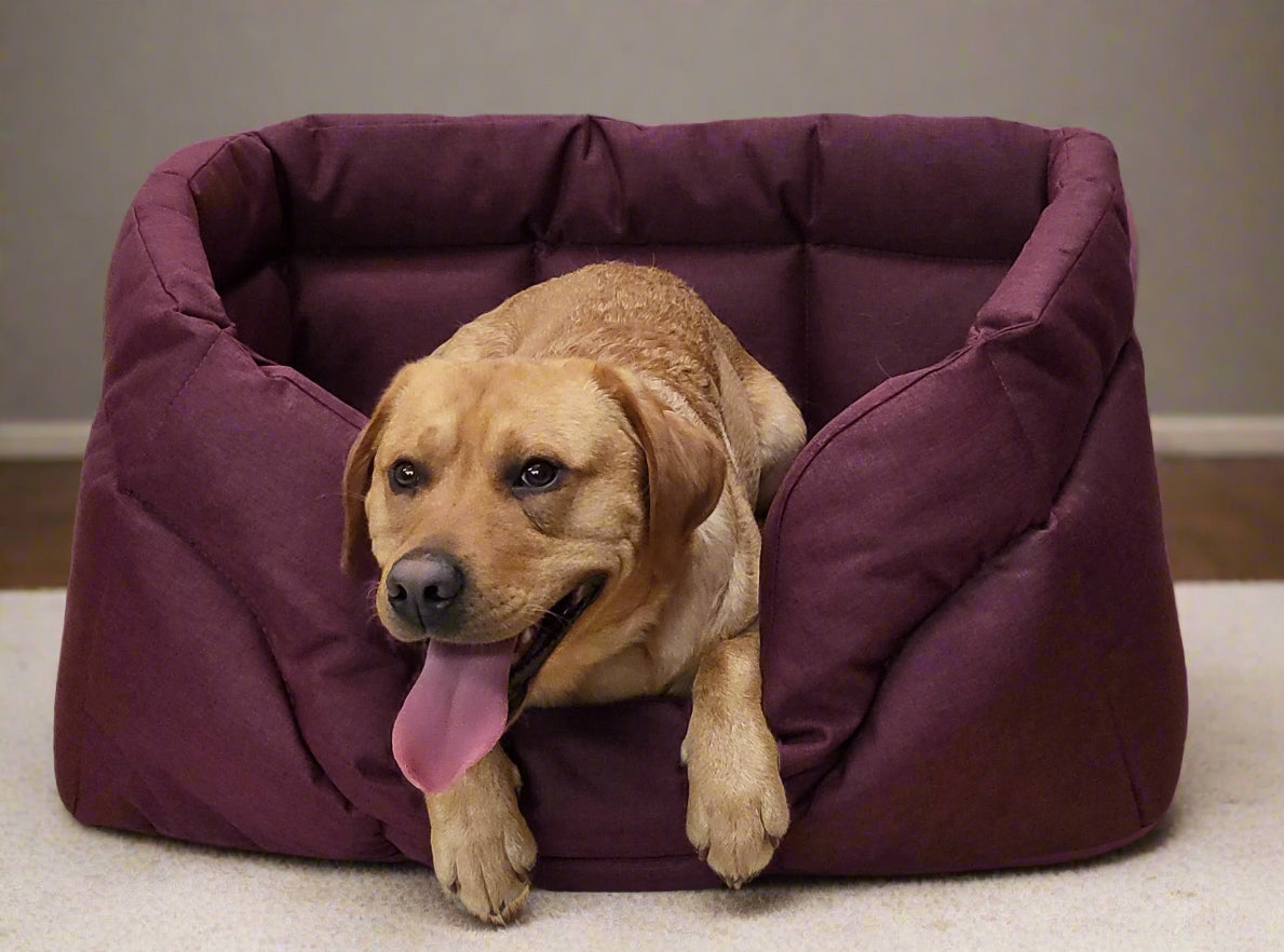 Country Dog Heavy Duty Rectangular High Sided Waterproof Dog Beds