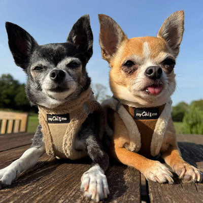 Tiny Trails Step In Soft Touch Suede Effect Faux Fur Lined Puppy and Small Dog Harness Mocha