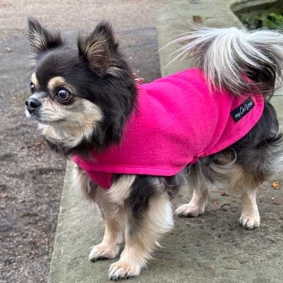 Tiny Toastie Water Repellent Fleece Dog Coat by My Chi and Me Hot Pink