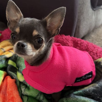 Tiny Toastie Water Repellent Fleece Dog Coat by My Chi and Me Hot Pink