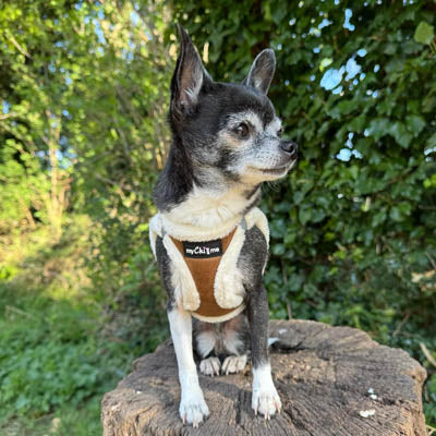 Tiny Trails Step In Soft Touch Suede Effect Faux Fur Lined Puppy and Small Dog Harness Mocha