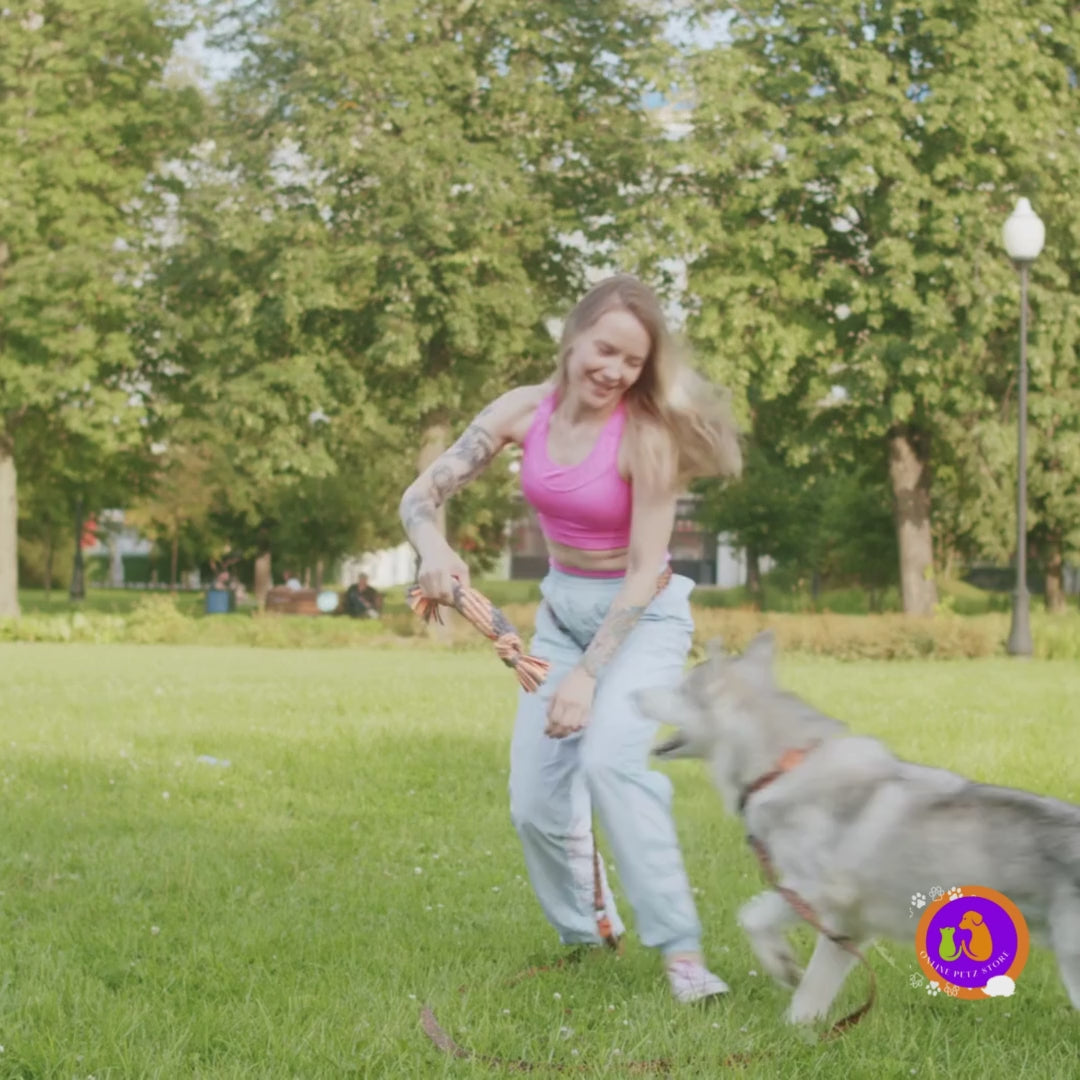 Load video: dog playing in the park