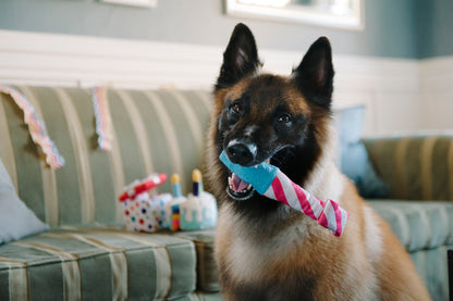 Party Time Raise The Woof Party Horn Plush Dog Toy