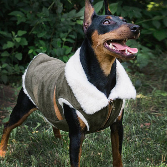 Sauve Dog Coat Jacket